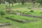 Kulwin NSWsustainable-landscaping-19.jpg; ?>