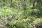 Kulwin NSWsustainable-landscaping-21.jpg; ?>